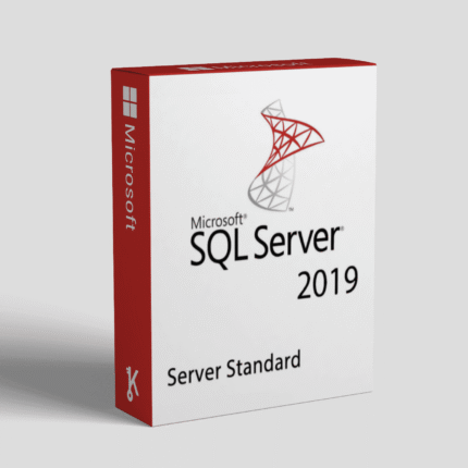 SQL Server 2019 standard Activation key – 1 USER